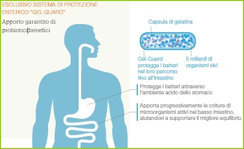 Esclusivo Sistema di protezione enterico "Gel-Guard" che protegge i batteri nel loro percorso fino all'intestino.