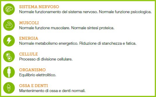 I benefici del magnesio dalla testa ai piedi